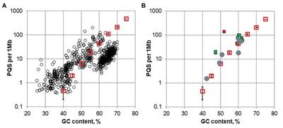 Recurrent Potential G-Quadruplex Sequences in Archaeal Genomes